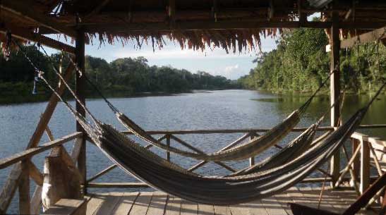 resort single hammock
