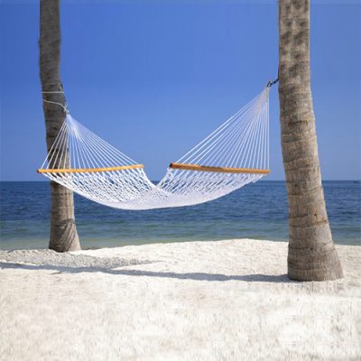 The Double Resort Hammock hanging between palm trees on the beach